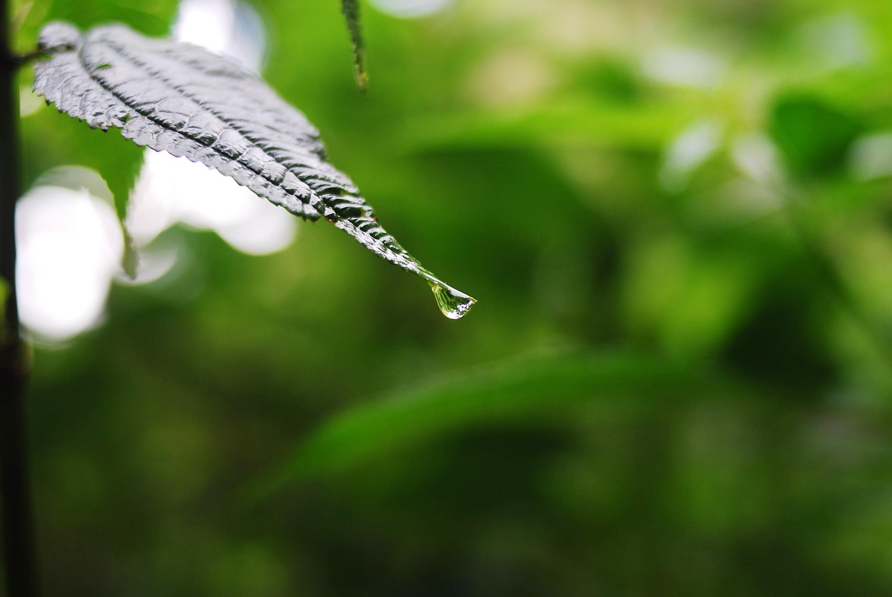 环京楼市最新动态揭秘，永清地区楼市深度解析