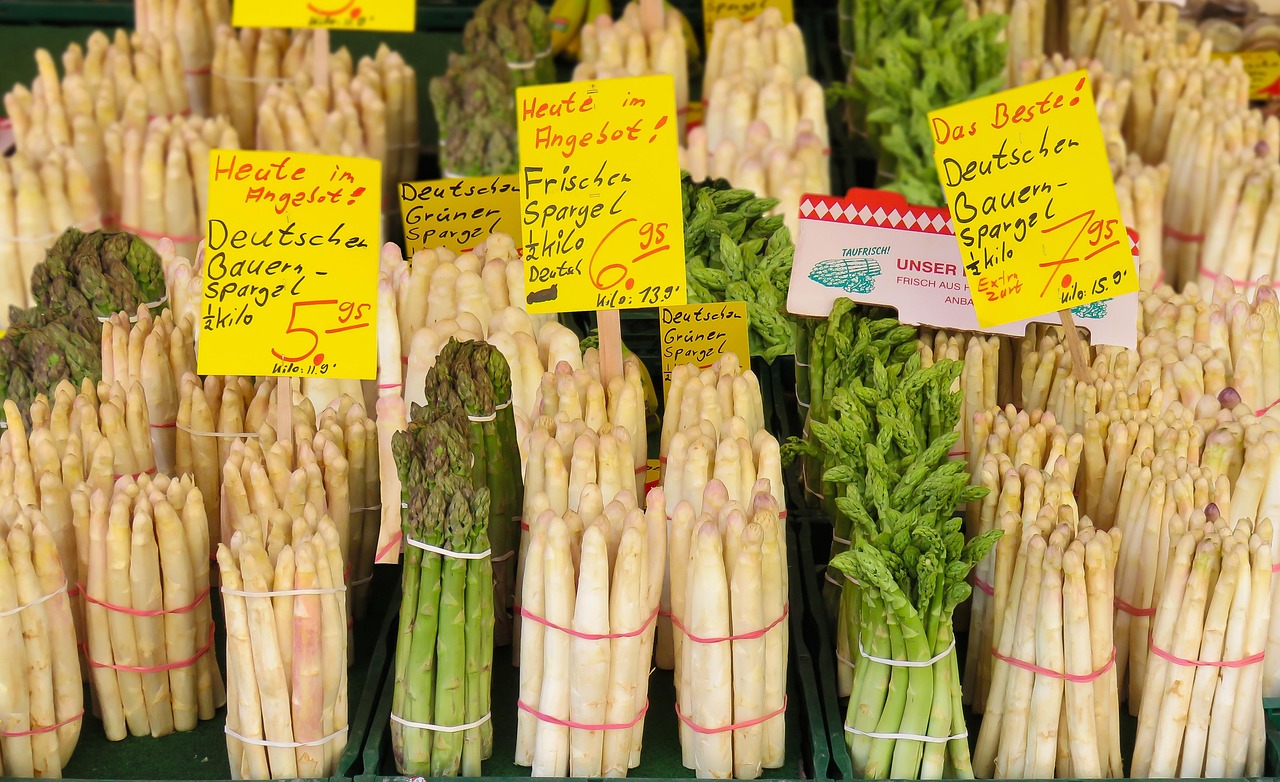 4月山东莴苣市场最新行情分析，价格走势聚焦